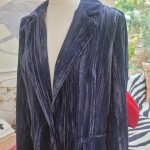 Blue Velvet Blazer