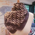 Christian Dior Scarf