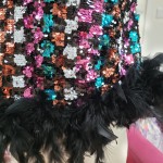 Sequin and Feather Top