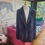 Blue Velvet Blazer